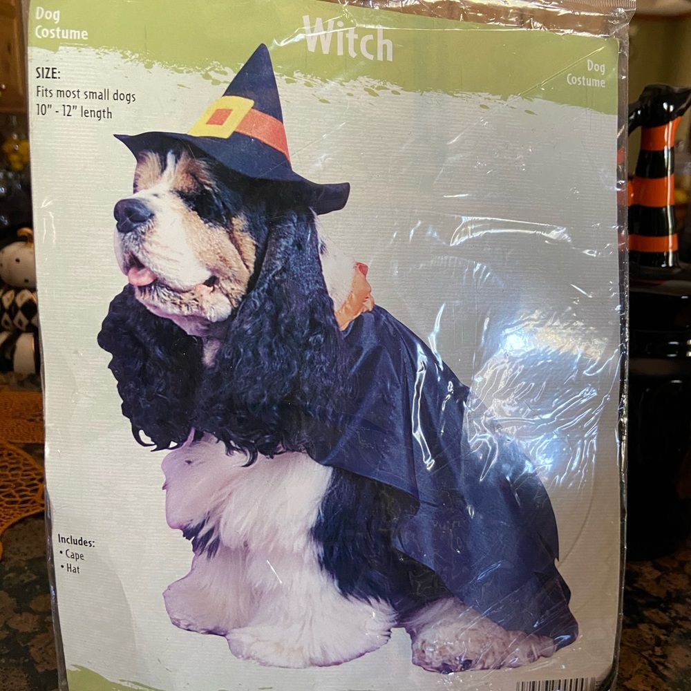 DOG WITCH HALLOWEEN COSTUME! 🎃 - Picture 1 of 2